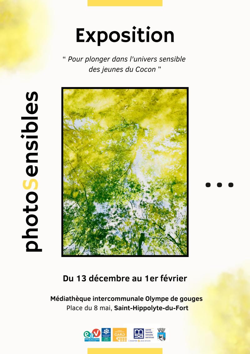 affiche photoSensibles